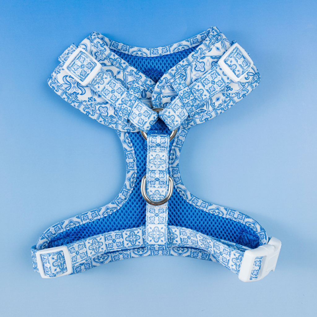 Santorini Adjustable Harness