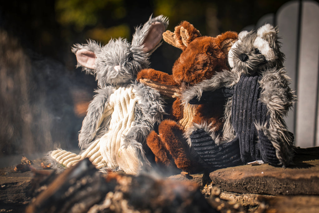 Redwood Raccoon X-Brace™ Plush Dog Toy