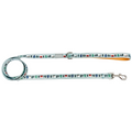 Snowy Slopes Leash