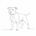 NikkosPetSupplies - Home