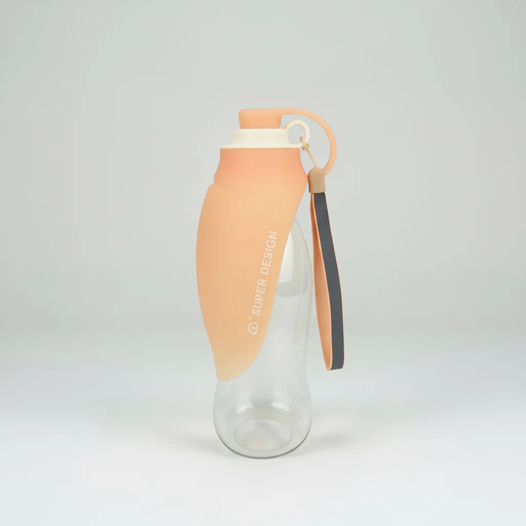 Portable Water Bottle
