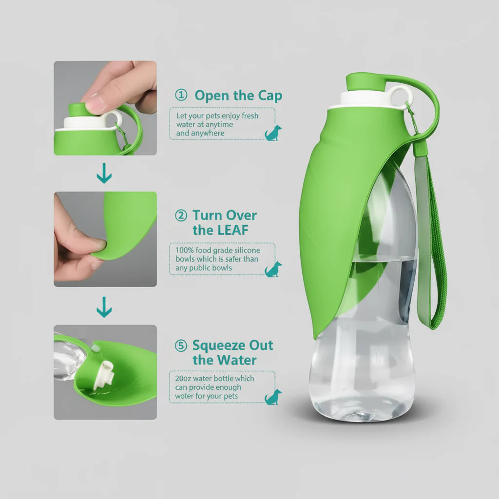 Portable Water Bottle
